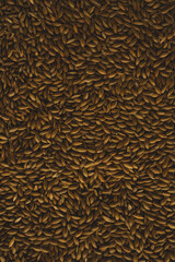 Bird seeds, Macro close up