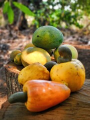 potatoes in a basket