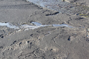 footprint in the sand