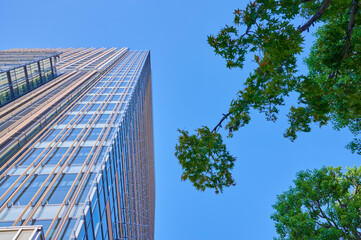 Obraz premium 六本木の高層ビル