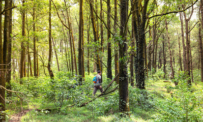 Traveller in the forest. Trekking is very popular in Vietnam