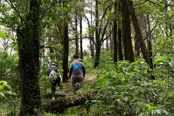 Traveller in the forest. Trekking is very popular in Vietnam