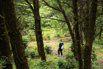 Obraz premium Traveller in the forest. Trekking is very popular in Vietnam