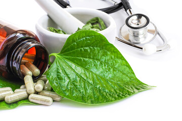 Herbal capsules pill, Betel leaf ( Piper sarmentosum, Wildbetal leafbush ), ceramic mortar with...