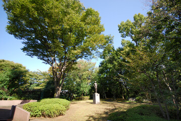 川崎市民プラザ公園（川崎市高津区新作）