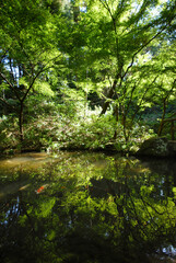 川崎市民プラザ公園（川崎市高津区新作）