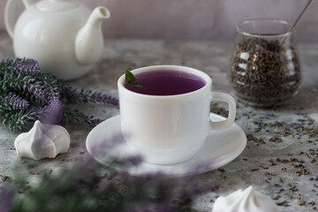 lavender tea in a white mug. Purple tea in a mug on a light background stands on the table next to lavender flowers. Dried lavender flowers are brewed in a Cup.