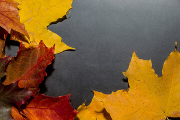 Frame of autumn yellow and red leaves on a dark background. Fall concept for design