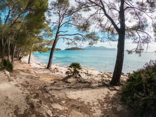 Beautiful virgin beach, withe blue water and mediterranean trees in Mallorca, Europe, Spain.