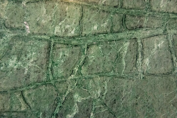Green Marble texture with natural pattern for background or design art work.