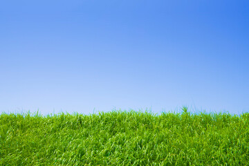 Plakat 青空と草原