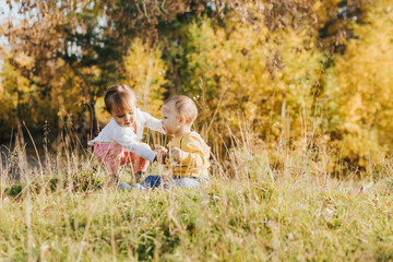 little girl and toddler boy sit on the grass and play against the background of a beautiful forest. Beautiful yellow autumn in the park. Bright sunlight.