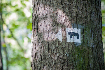 Trail marking with a bear at Ślęża Moutain in Poland.