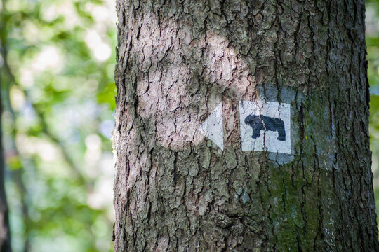Trail marking with a bear at Ślęża Moutain in Poland.