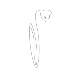 Beautiful flower drawing on white background. Vector illustration