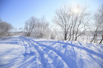Obraz premium 雪の轍