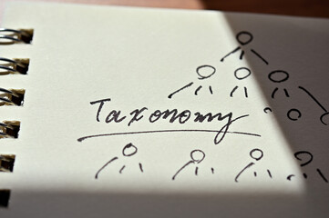 At the edge of the notebook, "Taxonomy" is written. Close-up in direct sunlight.