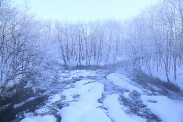 厳冬の川