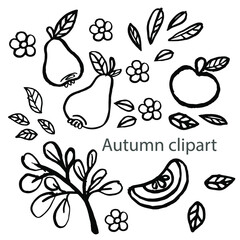 Vector autumn clipart with apples, autumn leaves, pears and flowers . Doodling for children's coloring book design, developing books