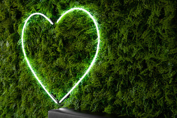 Neon light love heart sign glowing on green leaf wall.