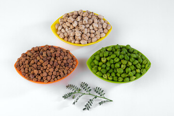 Fresh green Chickpea with dried Chickpea.