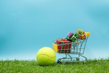Tennis ball for Christmas Holiday with present on green grass