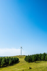 Obraz premium Wind turbines on the grassland
