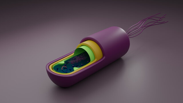 bacteria 3d illustration