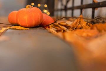A background of a yellow pumpkin is on the ground against the fence, bokeh lights, fog. Copy space. The concept of creative harvest, thanksgiving, Halloween.