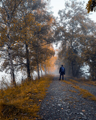 Fototapeta premium walk in the park