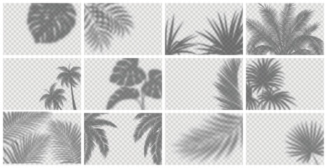 Realistic shadow overlay effect for mockup scenes and backgrounds. Vector set of transparent soft shadows of tropical leaves, branches, plants and palm trees. 