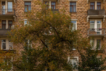 An autumn tree in front of a Soviet-era brick apartment building. Front view.