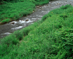 草原と流れ