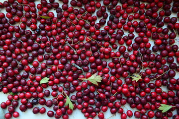 red cherries background