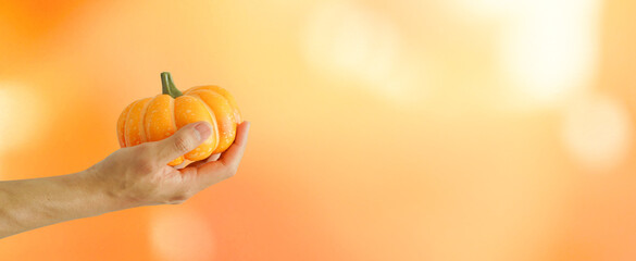 close up man hand holding pumpkins isolated on blur orange color background for thanksgiving...