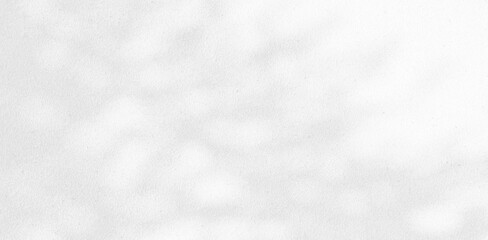 Abstract Shadow. blurred background. gray leaves that reflect concrete walls on a white wall surface for blurred backgrounds and monochrome wallpapers.