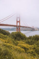 Fototapeta premium Golden Gate Bridge, San Francisco 