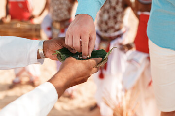 Obraz premium Hindu wedding ceremony. Details of traditional ceremony, wedding rings on betel leaf