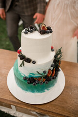 bride and groom cut the wedding cake