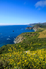 Obraz premium The Big Sur coast, California 