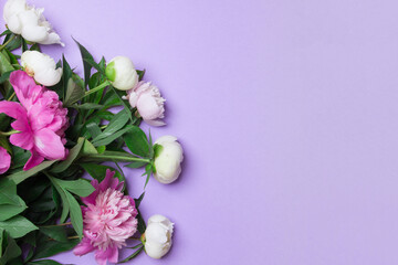 bouquet of peony on purple backgroud with copy space in right side of photo. close up
