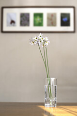 フラワーデザイン