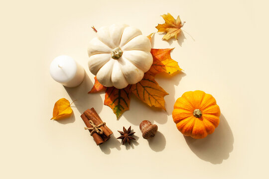 Small decorative pumpkins and autumn leaves on a white background. Flat lay style