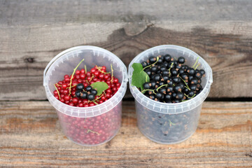 ripe red and black currants in white cup background old wooden texture