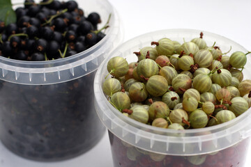 ripe black currants and green gooseberry in white cup