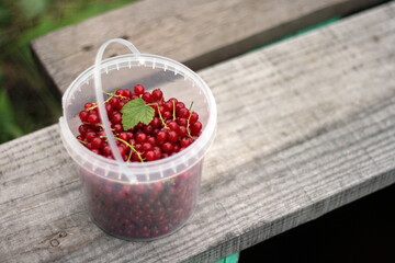 Ripe red currants in white plastic cup on wooden table