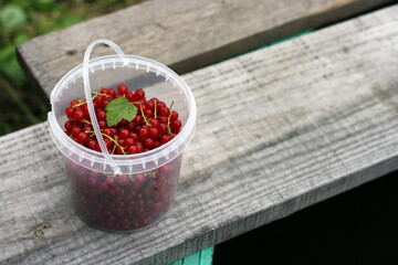 Ripe red currants in white plastic cup on wooden table