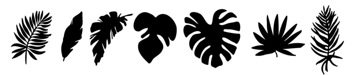 Vector set of black silhouettes of tropical leaves. Collection of exotic leaves of monstera, palm, banana isolated on a white background. vector collection of plant silhouettes