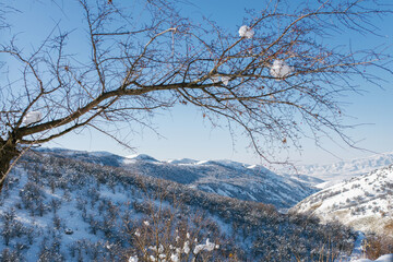 Natural landscape in the country of Uzbekistan near the city of Tashkent. Chimgan Mountain.