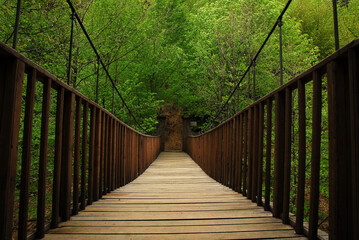 Old wooden bridge in deep forest, natural vintage background, Turkey.